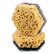 Губка для посуды DutyBox 92х80х29 шестигранник