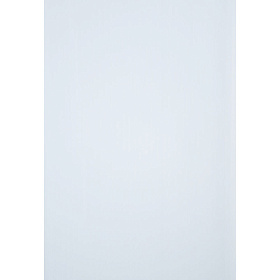 Панель ПВХ Белая  матовая 3000*375 мм