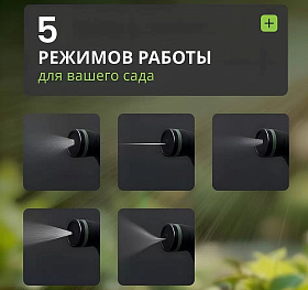 040f70b4-dd65-4315-873a-2c36ee1dbdc9_3.jpg