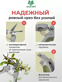85af7801-565c-40a6-afb4-75a7bf6af759_3.jpg