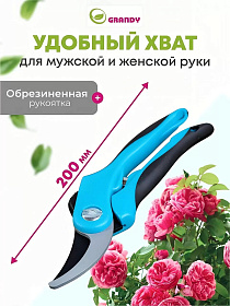 92138d93-12e7-4dbc-9a8d-620bd90b7e3d_5.jpg