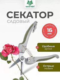 85af7801-565c-40a6-afb4-75a7bf6af759_1.jpg