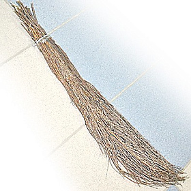 Веник сибирьковый