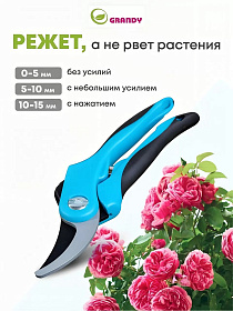 92138d93-12e7-4dbc-9a8d-620bd90b7e3d_1.jpg
