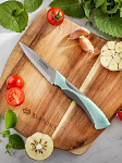 Нож кухонный Daniks, Gusto, для овощей, сталь, 9 см, рукоятка пластик, YW-A377B-PA